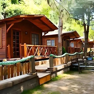 House Uzungol 3* Трабзон
